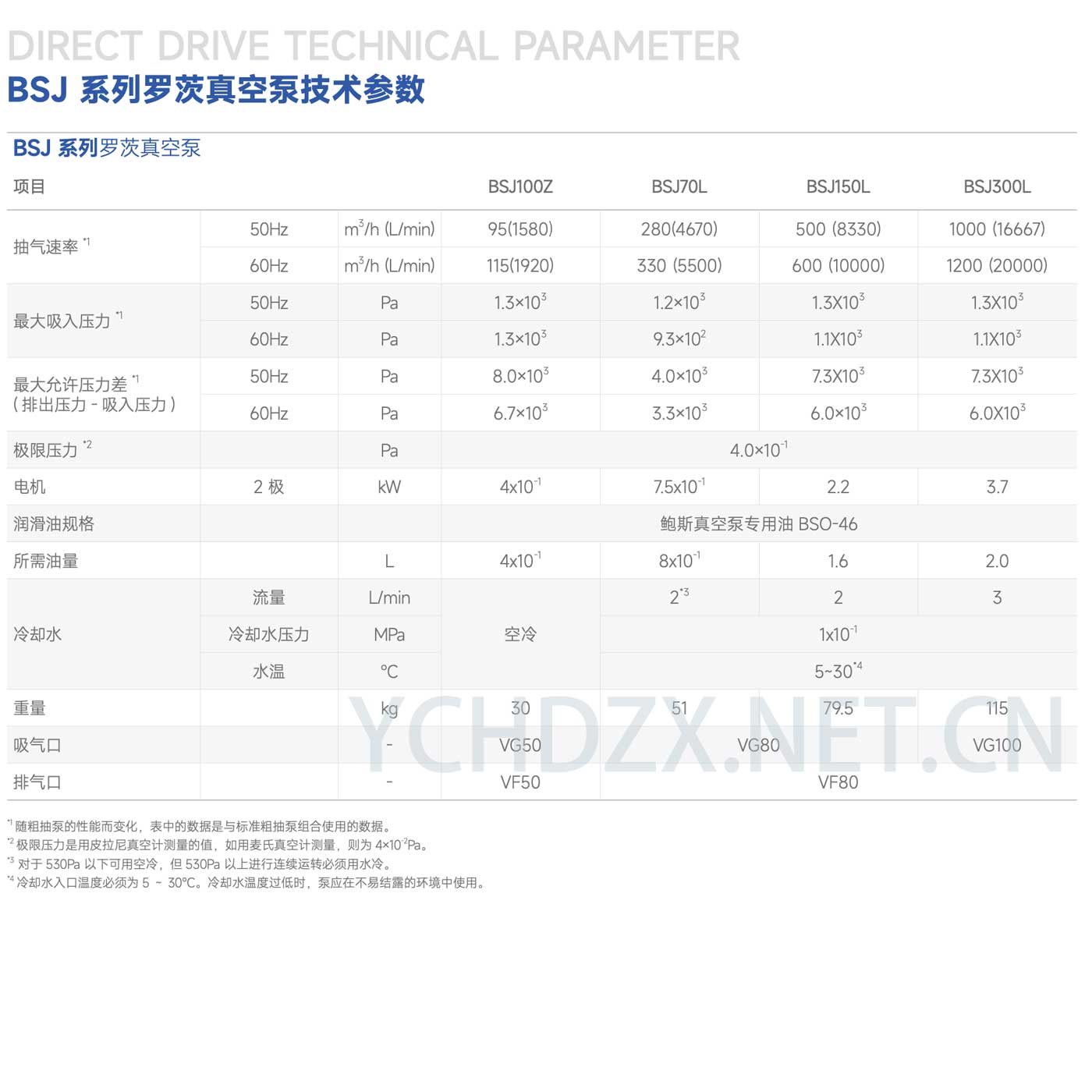 鲍斯罗茨真空泵型号BSJ300L主要参数